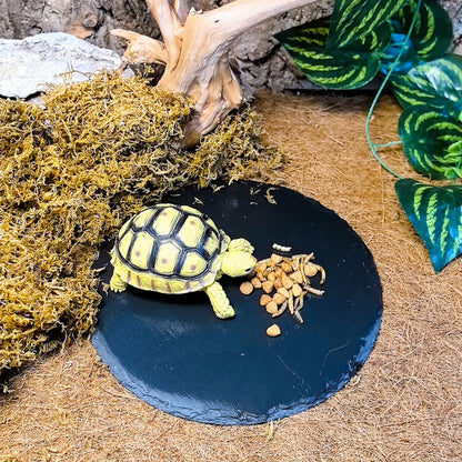 Tfwadmx Reptile Basking Platform,7.8IN Tortoise Rock Slate Plate Feeding Food Bowl Dish Turtle Bathing Resting Terrace for Lizard Bearded Dragon Chameleon Gecko Snake Frog Newt