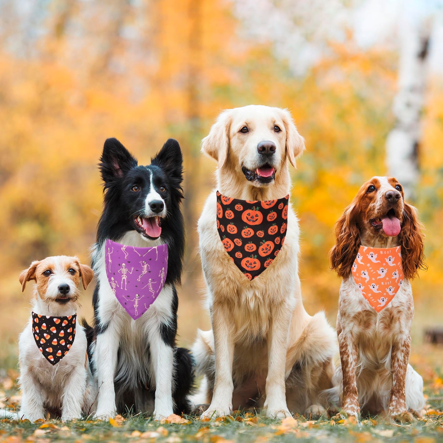 ADOGGYGO 4 Pack Halloween Dog Bandana, Pumpkin Ghost Dog Scarf Bib, Pet Halloween Bandanas Costume Accessories for Medium Large Dogs (Large)