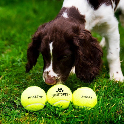 SPORTSPET Tennis Balls for Dogs - Extra Bouncy - Non Toxic - Durable - Long Lasting - Floats (Tennis Balls Standard (12 Pack)) (64mm)