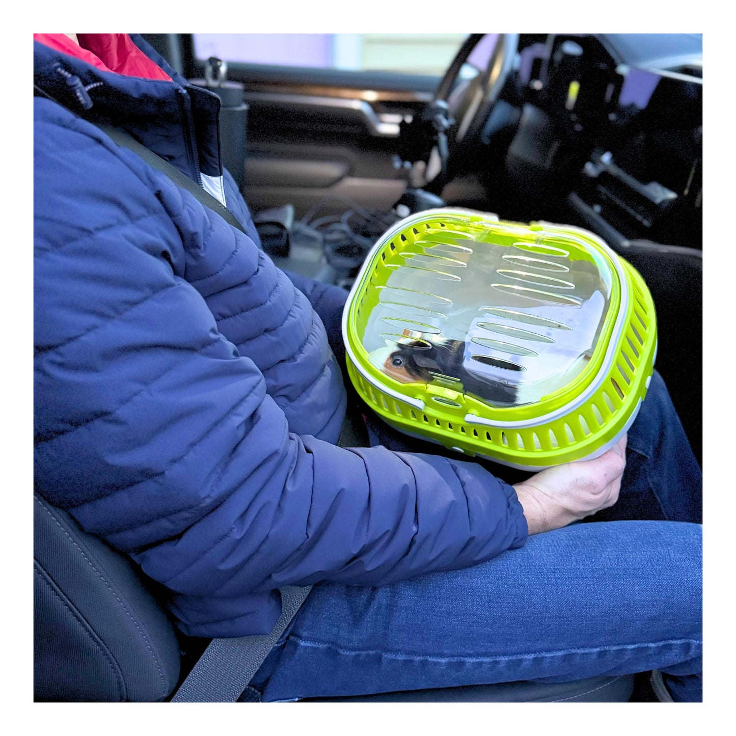 Trixie Pico Transport Box for Pet, 30 x 21 x 23 cm (Colour Assorted)