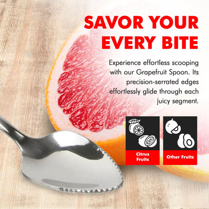 Chef Craft Select Serrated Grapefruit Spoon, 9 inch 2 piece set, Stainless Steel