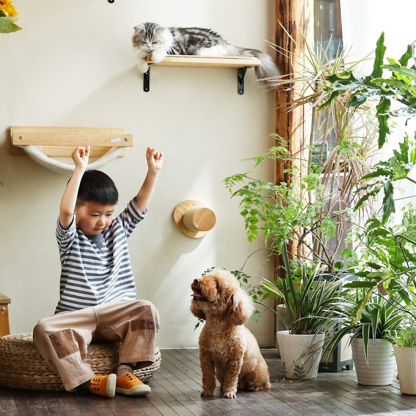 FUKUMARU Cat Wall Furniture, Cat Climbing Step 30cm Wall Mounted with Jute Scratches,Natural Rubber Wood Material, for Most Medium and Large Cats, Pack of 2
