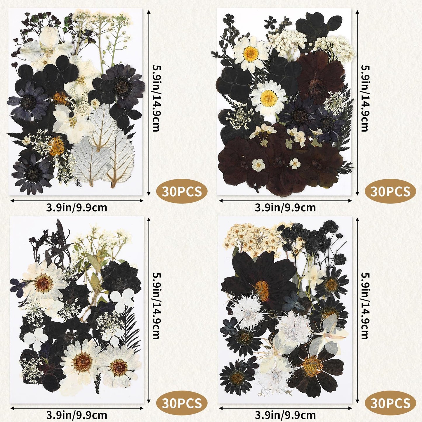 Augshy Black Dried Pressed Flowers, 120 Pcs Halloween Dried Flowers for Resin Molds Real Pressed Flowers for Crafts DIY Jewelry Molds, Scrapbooking, Candle, Soap Making