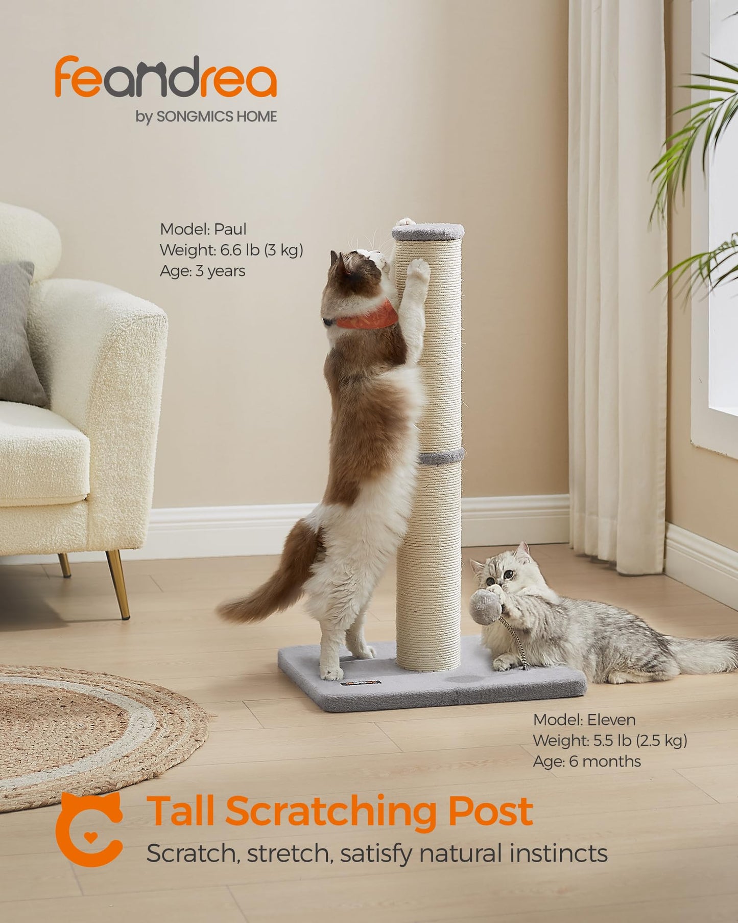 Feandrea Cat Scratching Post, 85 cm Tall Cat Scratcher for Medium and Large Cats, Furniture Scratching Deterrent Sisal Scratch Pole, Spring Pompom with Built-in Bell, Dove Grey PCA041G01