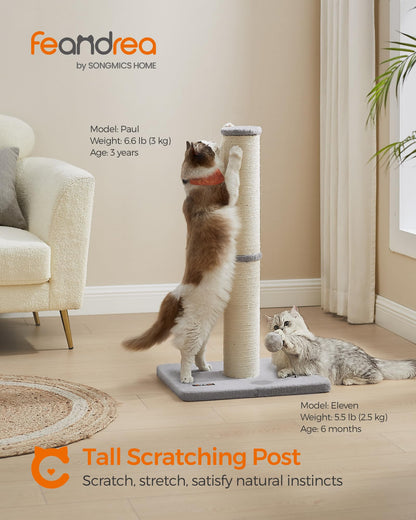 Feandrea Cat Scratching Post, 85 cm Tall Cat Scratcher for Medium and Large Cats, Furniture Scratching Deterrent Sisal Scratch Pole, Spring Pompom with Built-in Bell, Dove Grey PCA041G01