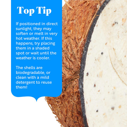 Coconut Bird Feeder Halves, Wild Bird Food for Small Birds with Suet, Dried Mealworms, Seeds, and Cereals, High Energy Food, Filled in the UK, Suitable for Year-Round Feeding - RSPB x 10 (320g)