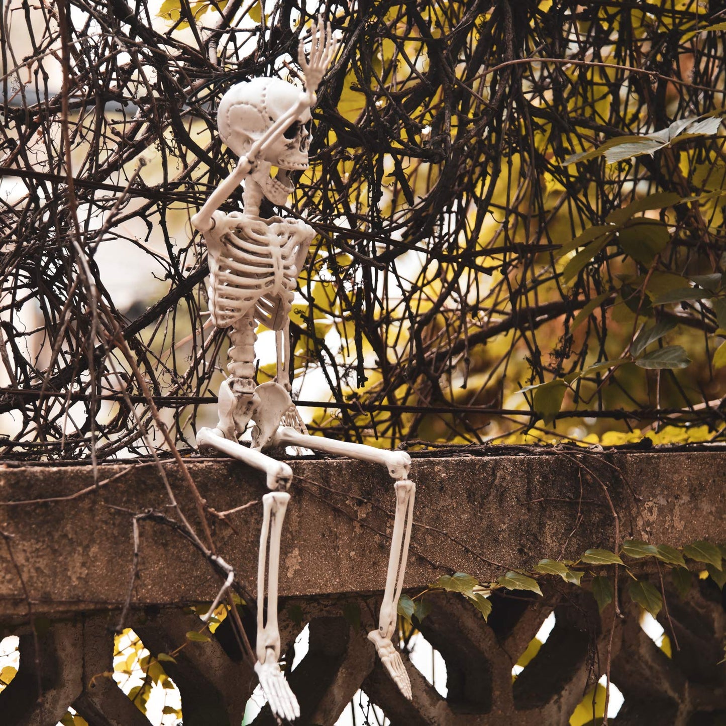 24" Halloween Skeleton Decorations,Full Body Posable,Hanging Skeleton with Movable Posable Joints, Spooky Plastic Skeleton for Yard Garden Lawn Haunted House Graveyard Props Decor