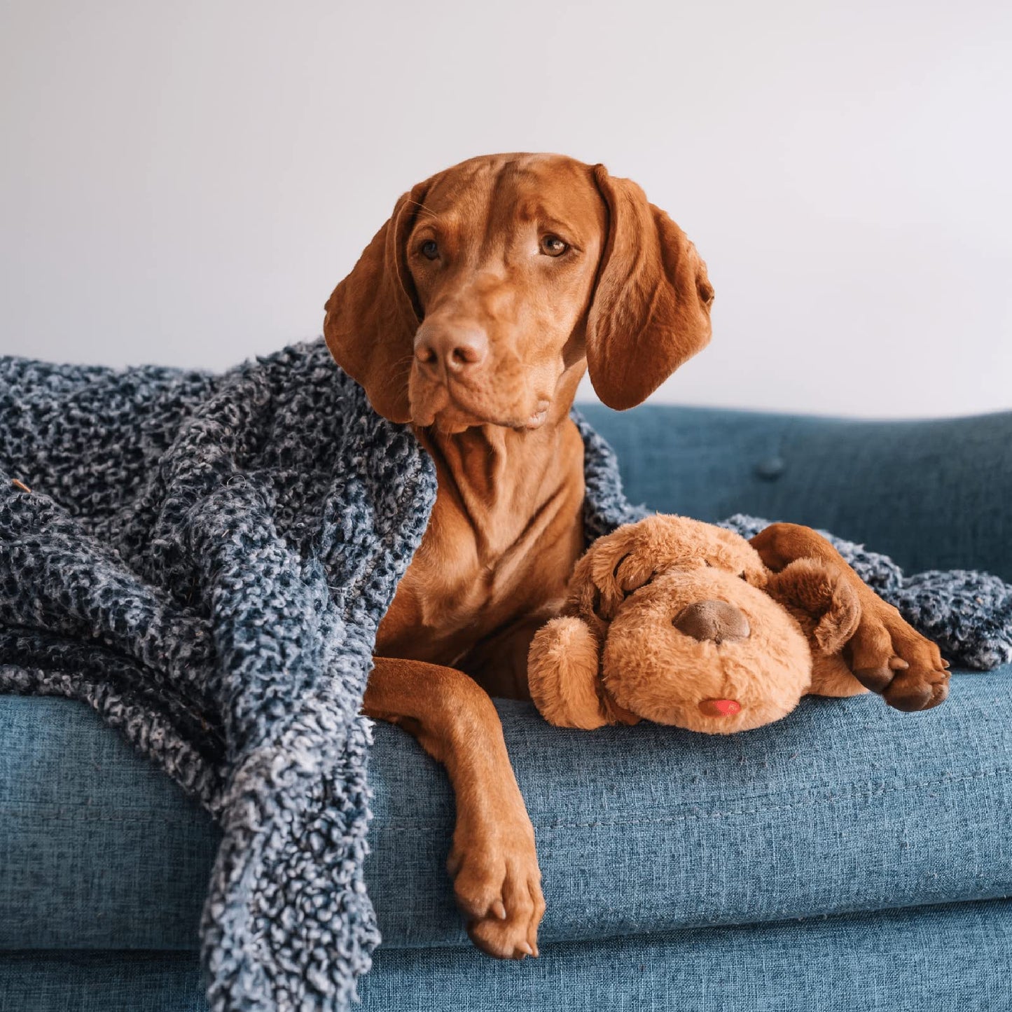 Original Snuggle Puppy Toy, Heartbeat Toy for Puppy, Dog Toys for Anxiety Relief, Calming Aid, Dog Heartbeat Toys for Behavioral Training in Biscuit