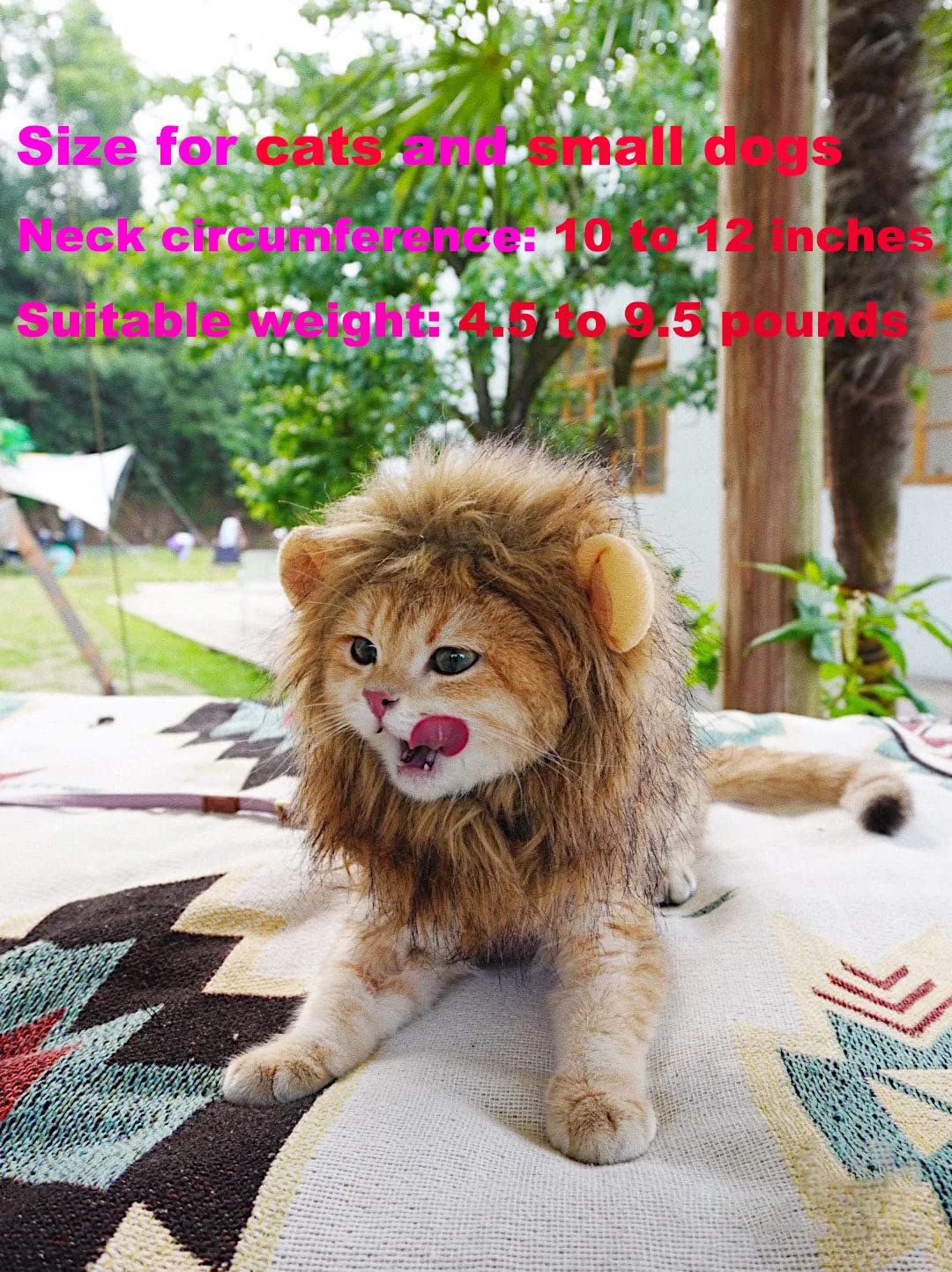RosyLife Lion Mane Wig for Cat Costume Pet Adjustable Washable Comfortable Fancy Lion Hair Cat Clothes Dress for Halloween Christmas Easter Festival Party Activity (Brown)