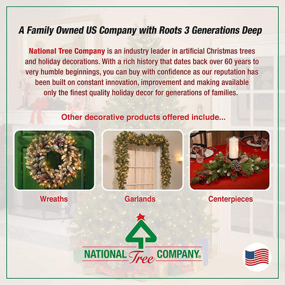 National Tree Company 4 ft Pre-Lit Grande Canadian Fir Mini Artificial Christmas Tree, 100 Clear Lights, 230 Tips, Includes Stand, Green