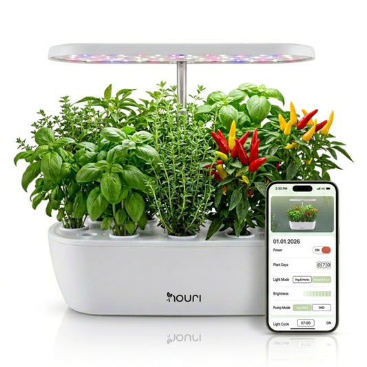 Nouri Hydroponics Growing System, 12 pod APP Smart Indoor Herb Garden Kit with LED Grow Lights, Hydroponic Herb Garden Indoor for Plant Lovers, Gardeners, Kitchen, Basil Seeds Included