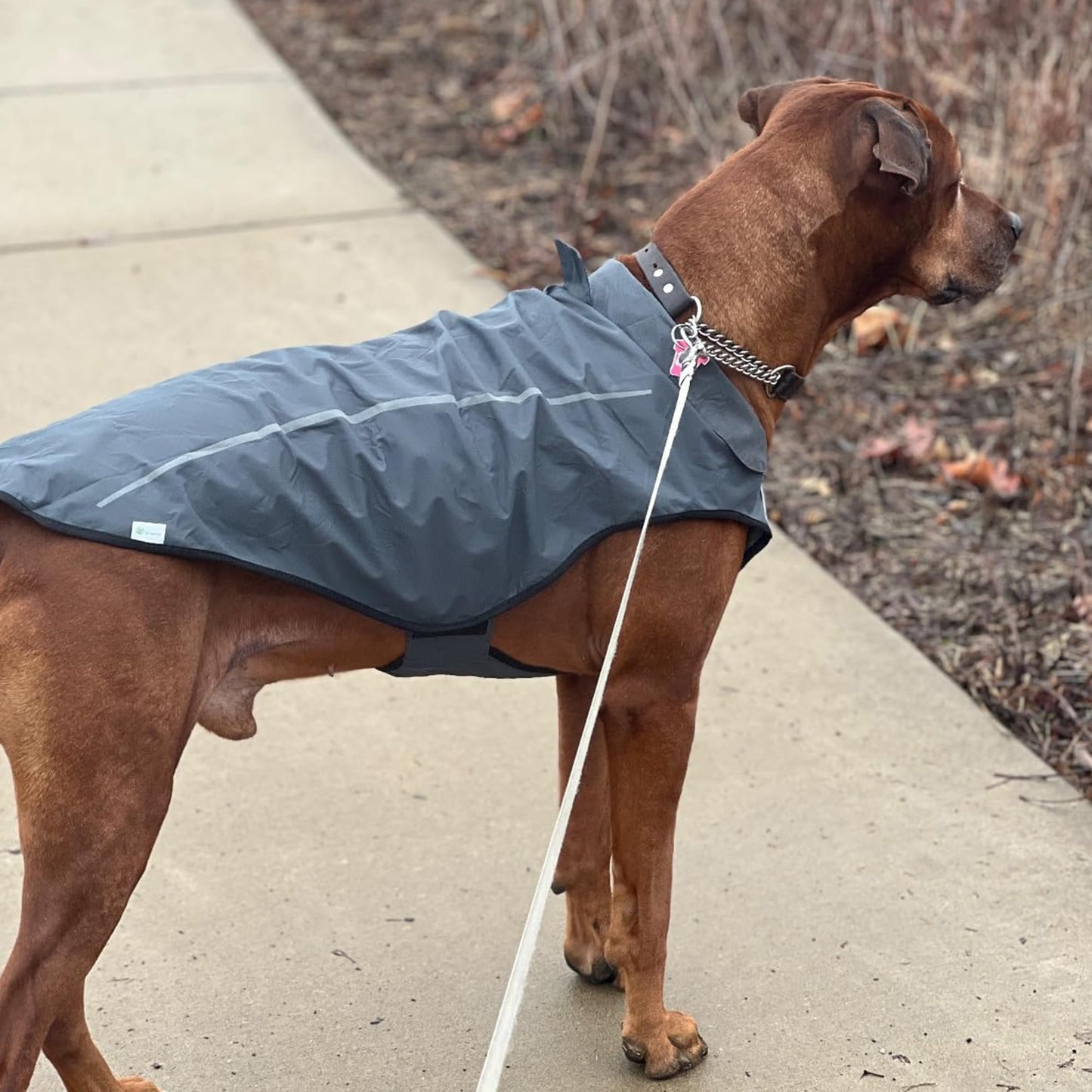 Mile High Life | Dog Raincoat | Adjustable Water Proof Pet Clothes | Lightweight Rain Jacket with Reflective Strip | Easy Step in Closure (M,Gray)