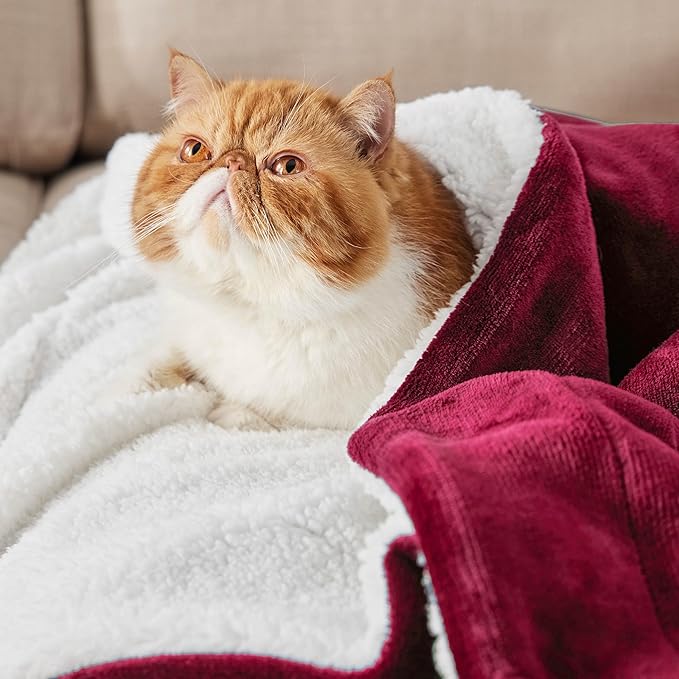 Bedsure GentleSoft Sherpa Fleece Blankets King Size for Bed - Thick and Warm Throw for Women, Soft Fuzzy Plush King Christmas Blanket for Winter, Red, 108x90 Inches