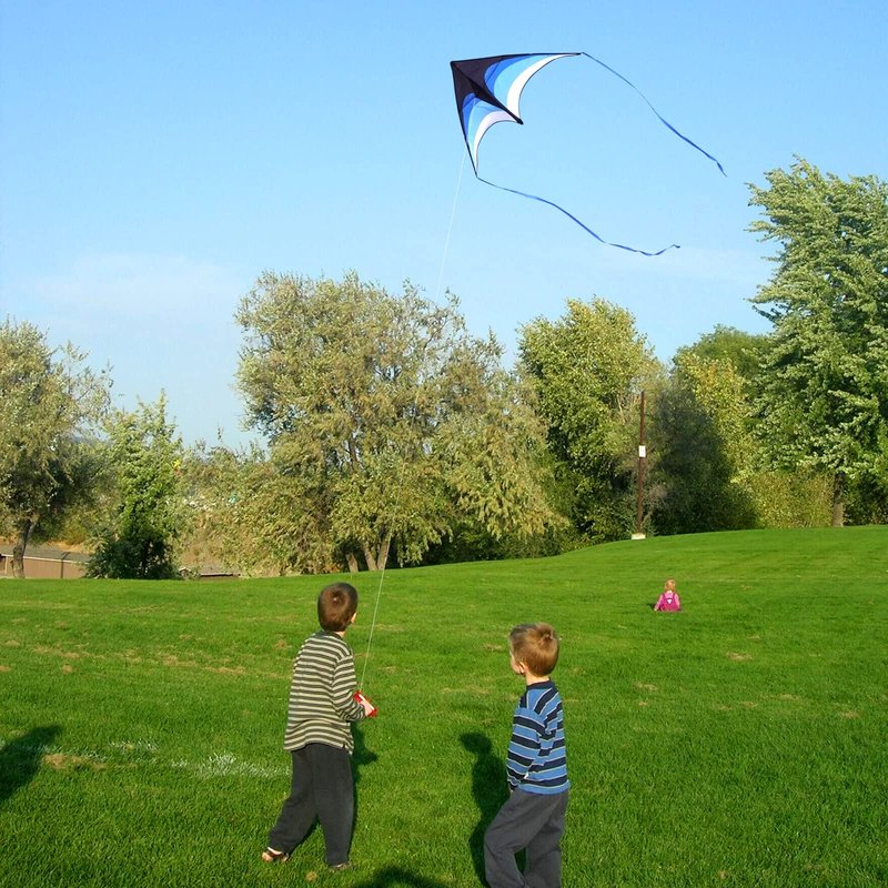 Mint's Colorful Life Delta Kite for Kids & Adults, Easy to Fly Kites with 2 Ribbons and 300ft Kite String, Best Kites for Beginner(Blue)