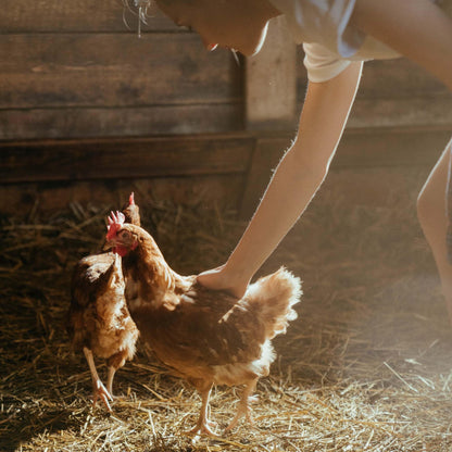 Copdock Mill Range Layers Pellets with Verm-X Chicken Feed 20kg - Premium Quality Complete Feed for Poultry - 100% Natural Mix to Aid Digestion and Protect Against Intestinal Problems