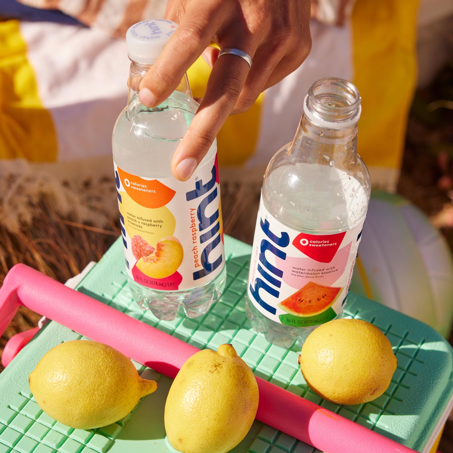 Hint Fruit-Infused Bottled Water, Smashup Flavored Variety Pack - Purified Water Beverages with Zero Calories, Natural Flavors, and Sugar Free - 16 Fl Oz (Pack of 12)