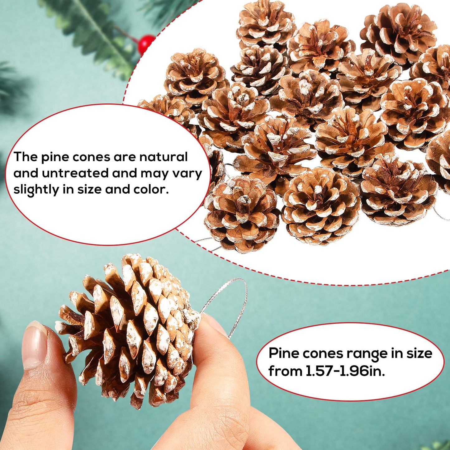 24PCS Christmas Natural Pine Cones,Rustic Pinecones with String for Crafts & Decorating Winter Xmax Holidays Vase and Table Bowl Fillers(Dia. 1.57-1.96 Inches)