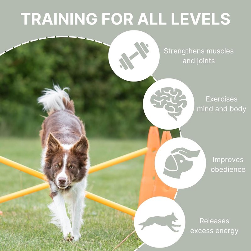 Dog Agility Hurdle Cone Set - Height Adjustable Jump Training Equipment for All Skill Levels | 6 Cones, 3 Rods