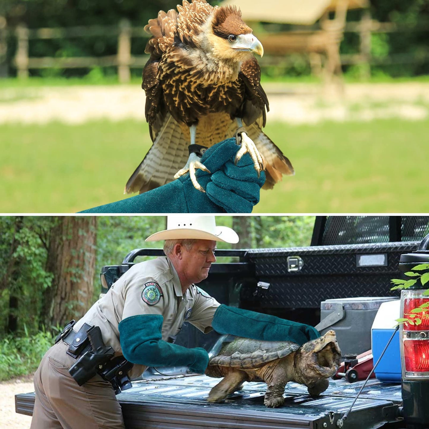 AOWPFVV Animal Handling Gloves Bite Proof Multipurpose Pet Glove for Trips to Vet Grooming Puncture Proof Training Anti-Bite Scratch for Cat Dog Snake Falcon Grabbing Reptile