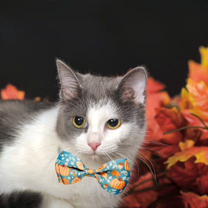 3 Pack Holiday Cat Collar with Bow and Bell, Halloween Thanksgiving Christmas Cat Collar for Boys and Girls Kitties Kittens