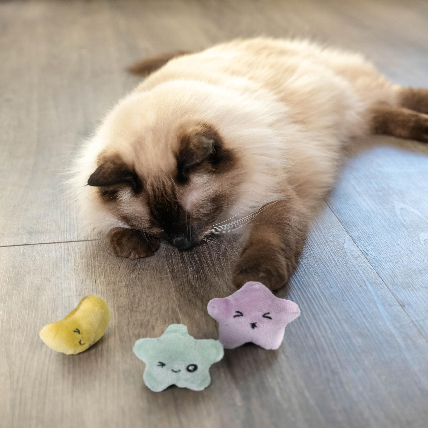 Catstages Toss 'N Twinkle Catnip Cat Toys - 3 Pack