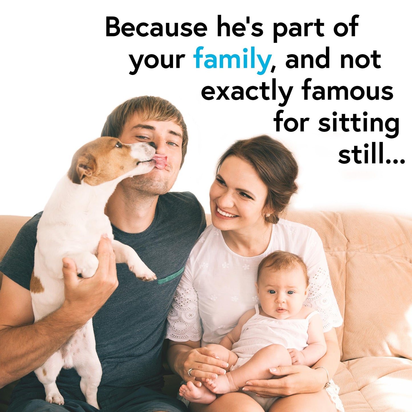 iProven Dog & Cat Thermometer for Accurate Fever Detection, Comfortable Flexible Tip, Waterproof Pet Thermometer, Fast Readings in 20 sec, Whelping and Veterinary Supply, DTK-117Y