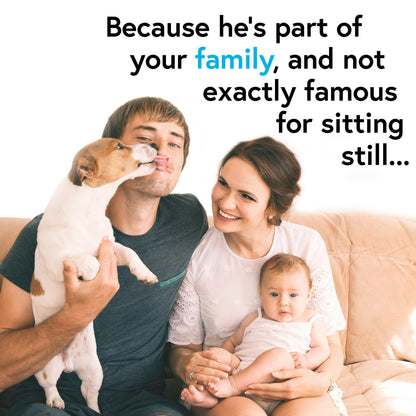 iProven Dog & Cat Thermometer for Accurate Fever Detection, Comfortable Flexible Tip, Waterproof Pet Thermometer, Fast Readings in 20 sec, Whelping and Veterinary Supply, DTK-117Y