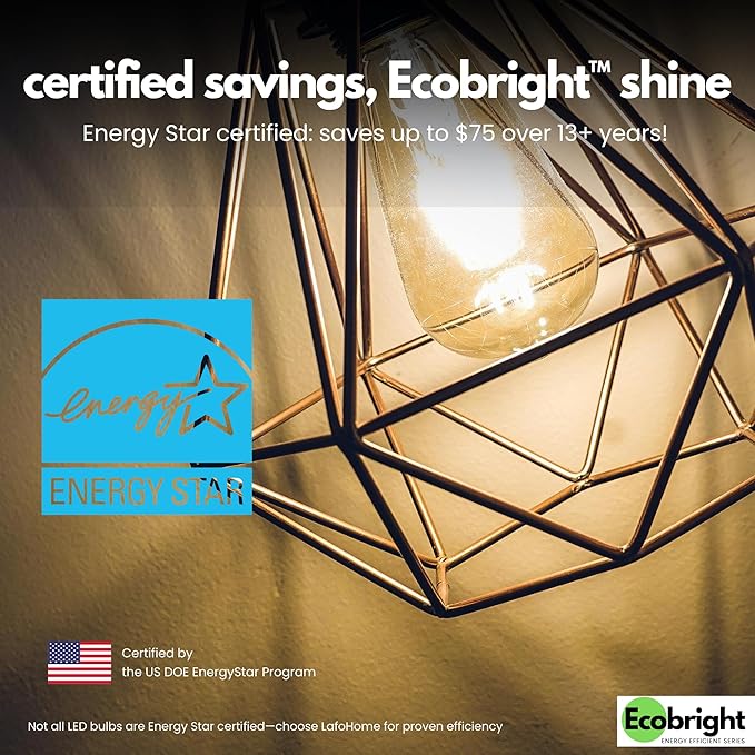 EcoBright ST19/ST64 LED Filament Bulbs, Dimmable, 60W Equivalent, 9W, 800 Lumens, 2700K Warm White, CRI90+, E26 Base, Flicker-Free, Edison Chandelier, ETL/FCC Certified (8 Pack)