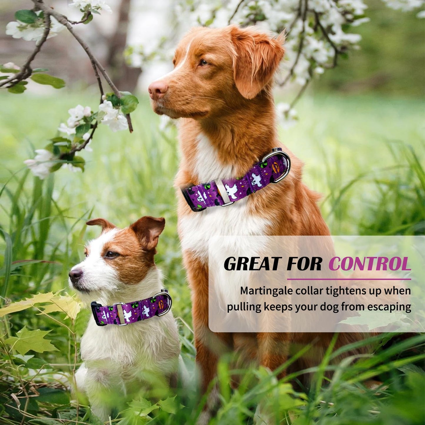 Hikiko Martingale Collar for Dogs with Buckle for Small Medium Large Dogs Soft Nylon Halloween Dog Collars Walking Training（Purple Little Devil,Large）