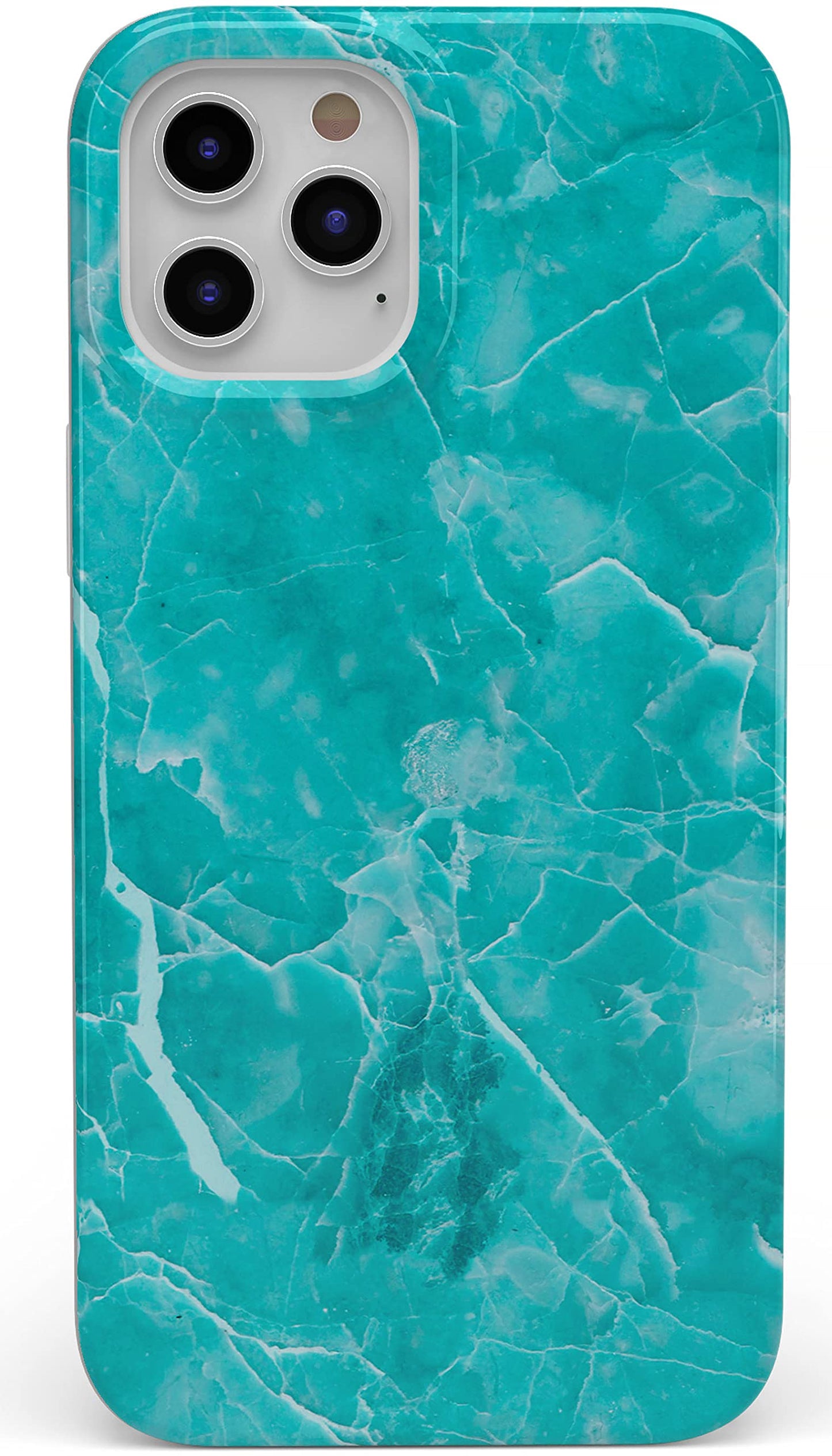 Casely iPhone 11 Pro Max Floral Case | Van Gogh Almond Blossom Phone Case