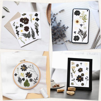 Augshy Black Dried Pressed Flowers, 120 Pcs Halloween Dried Flowers for Resin Molds Real Pressed Flowers for Crafts DIY Jewelry Molds, Scrapbooking, Candle, Soap Making