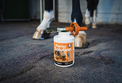NAF Profeet Farrier Solution 500ml – Hoof Dressing for Horses – Nourishes, Protects & Strengthens Hooves – With Natural Oils & Antibacterial Agents – Easy Brush-On Application