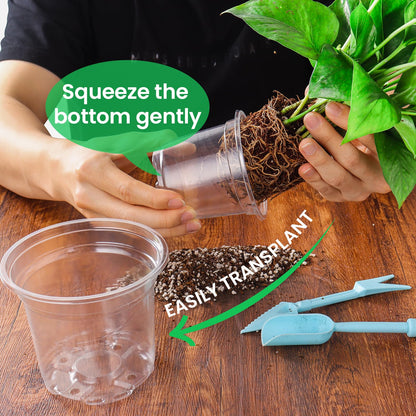 Bluepro 36 Packs 6.7/5/4/3.5 Inch Reinforced Clear Nursery Pots with Drainage Hole, Transparent Variety Pack Plastic Plant Pot Seedling Planter Seed Starter Flower