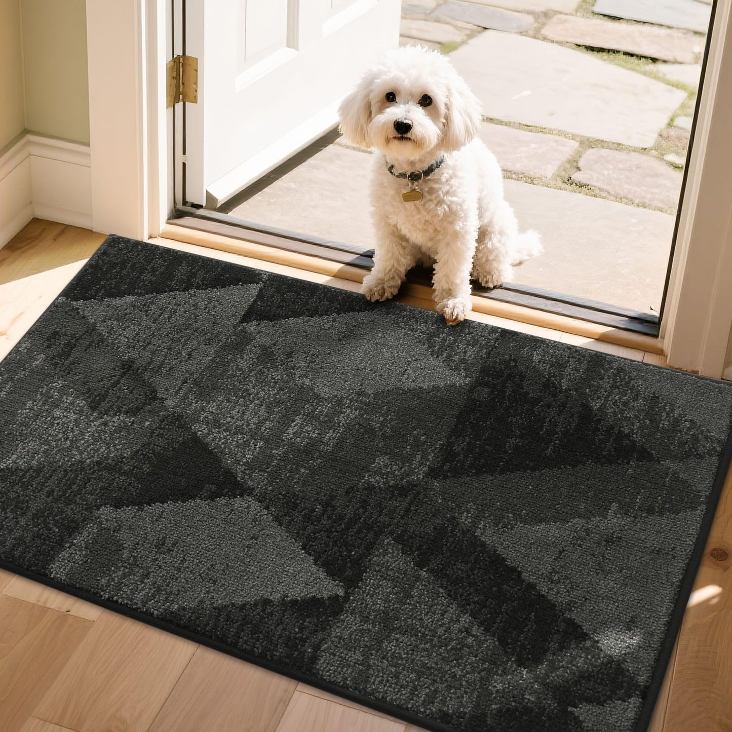 COSY HOMEER Entryway Rugs Doormat 24"x36", Non-Slip Absorbent Polyester, Washable Rugs for Front Door, Dirty Paws & High Traffic Areas, Dark Gray