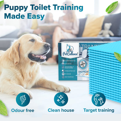 PetCellence Puppy Pads 100 Pack, Super Absorbent Pet Dog Training Pads Large 60 x 60cm with Anti-Slip Adhesive Tabs, Eliminate Odour, Leak-Proof Floor Protection Toilet Pee Mat