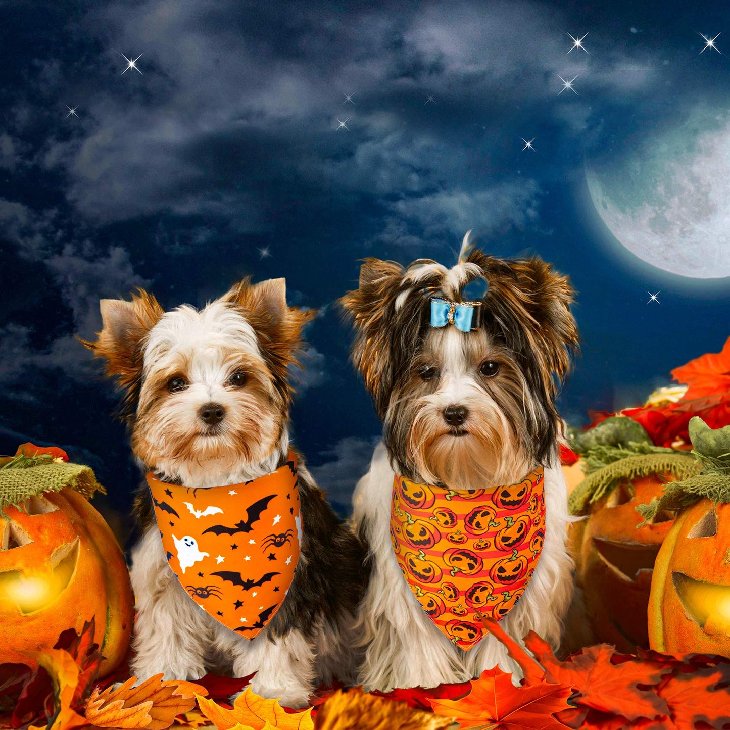 Whaline 4 Pack Fall Dog Bandanas Reversible Halloween Triangle Bibs Pumpkin Ghost Bat Pet Scarf Thanksgiving Washable Cotton Pet Neckerchief for Medium Large Pets Cats Dogs