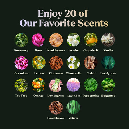 Lagunamoon Essential Oils Set, Top 20 Gift Set Oils for Diffusers, Humidifiers, Aromatherapy, Candle Making Scents, Cars & Home Products, Peppermint, Tea Tree, Lavender, Eucalyptus, Lemongrass (10mL)
