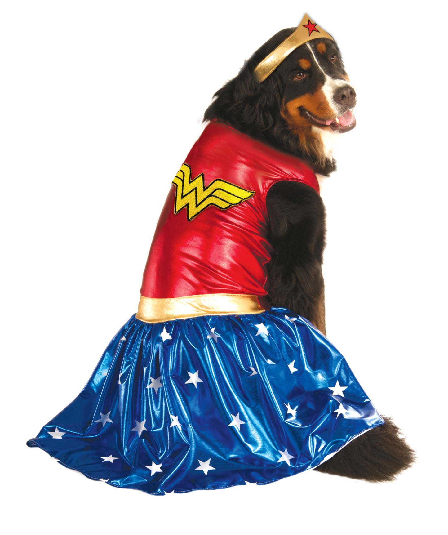 DC Comics: Wonder Woman Pet Costume for For Dogs or Cats by Rubies, Medium