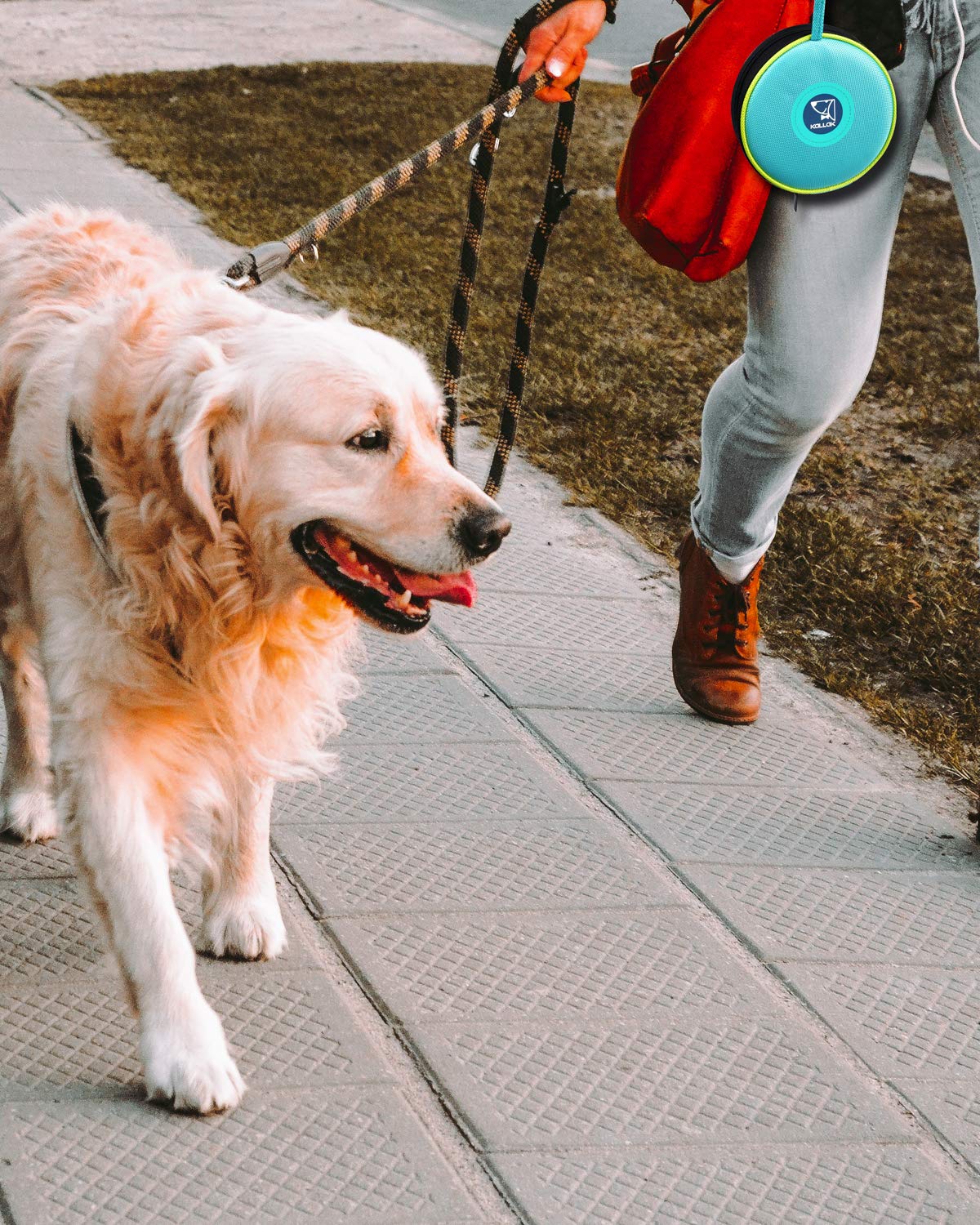 KALLAK Portable 2 in 1 Pet Bowls with Zipper Carrying Case and Carabiner, Collapsible Double Travel Dog Bowls for Food and Water Feeding, Foldable Camping Dog Cat Bowl