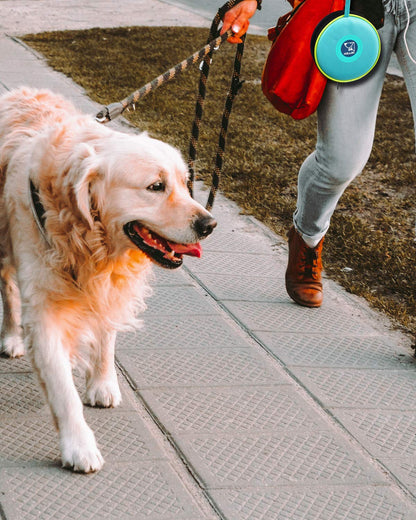 KALLAK Portable 2 in 1 Pet Bowls with Zipper Carrying Case and Carabiner, Collapsible Double Travel Dog Bowls for Food and Water Feeding, Foldable Camping Dog Cat Bowl
