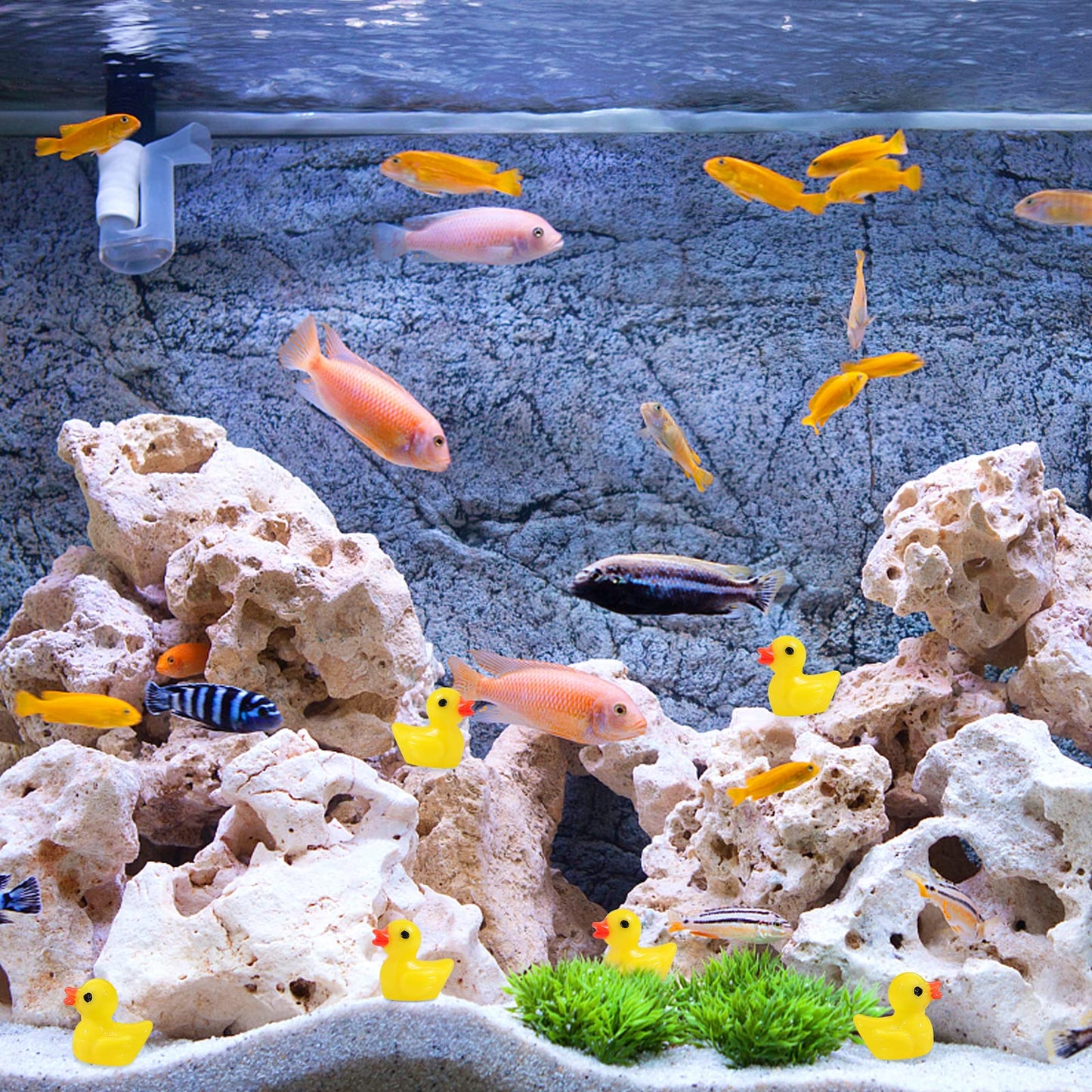 100Pcs Mini Resin Ducks, Tiny Ducks Figurines Bulk for Miniature Dollhouse Decor Accessories Garden Aquarium Potted DIY Ornament Party Toys