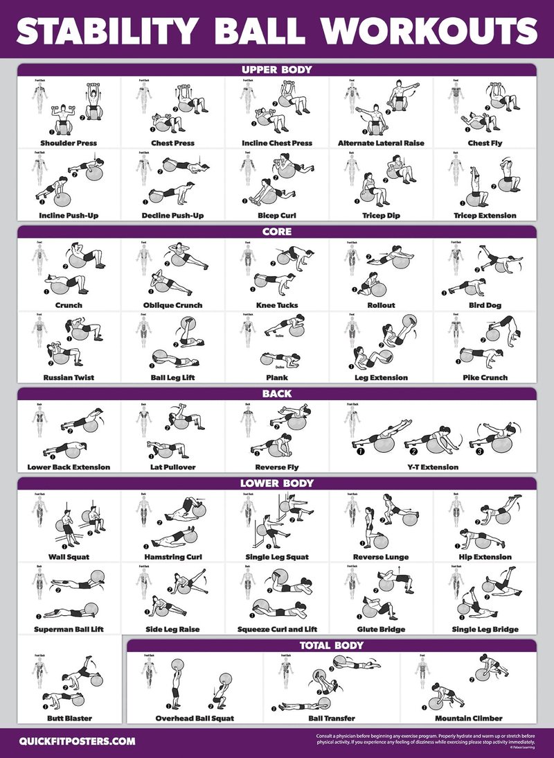 Palace Learning 2 Pack - Yoga Ball Workout Exercises Volume 1 & Volume 2 - Stability Ball Routine - Fitness Charts (18" x 24", Laminated)