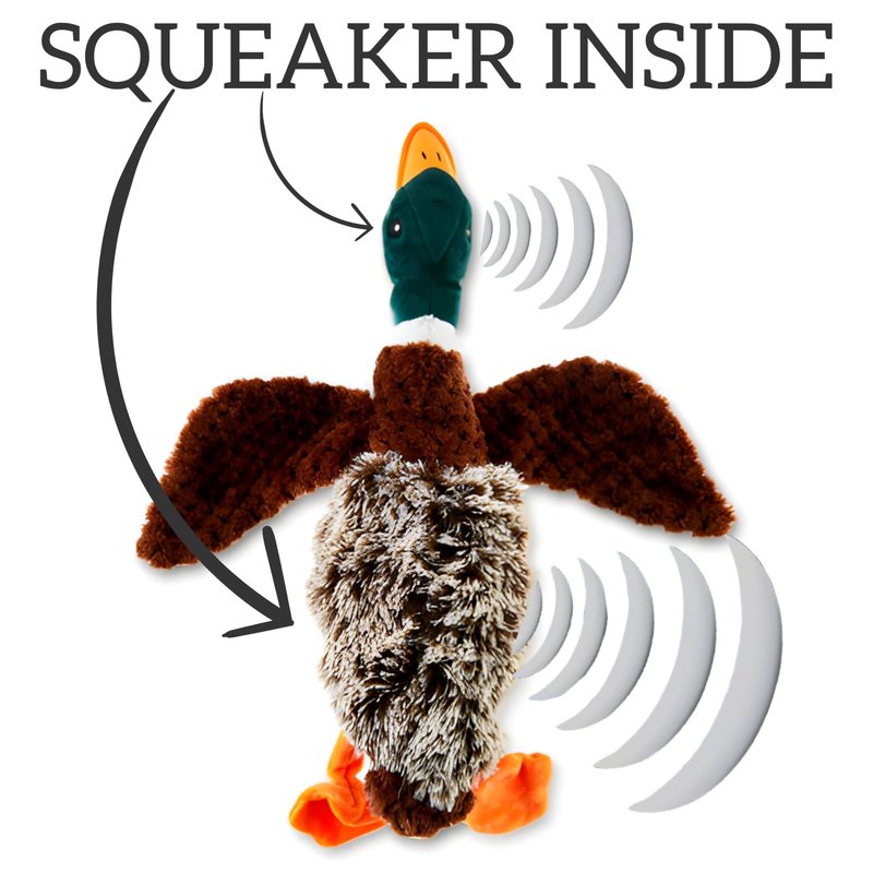 Duck Dog Toy Squeak Toys | Mallard-Shaped | Shaped Pet Toys | Duck Dog Toys for Large Dogs | Mallard Dog Toy | Dog Chew Toys | Stuffed Toys Interactive Animal.