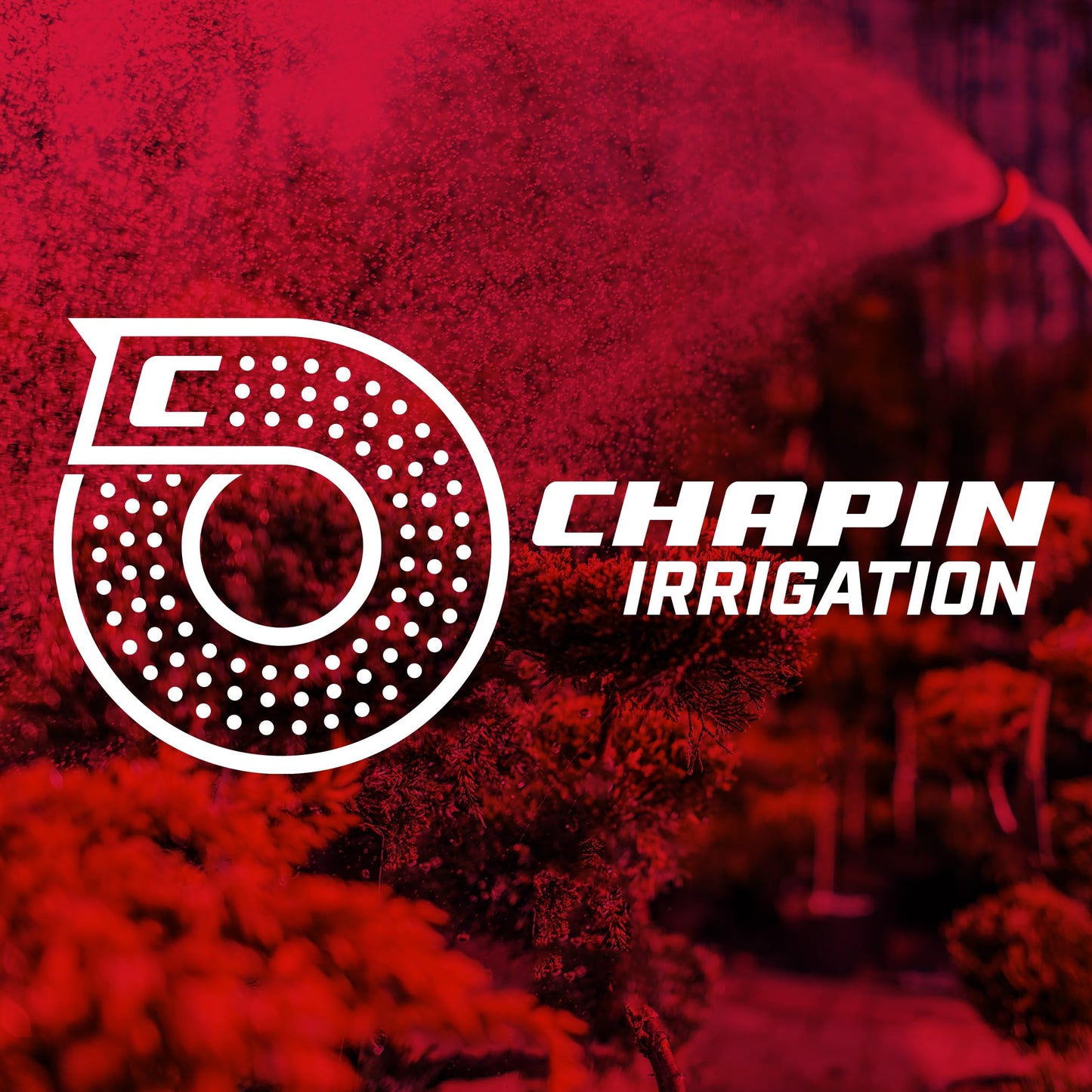 Chapin 4672 18-inch with 8 Pattern Rotatable Nozzle and Adjustable 180-degree Spray Head Watering Wand