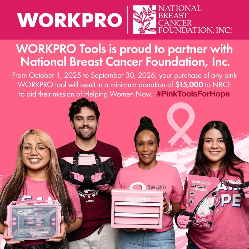 WORKPRO Pink Cordless 20V Lithium-Ion Drill Driver Set | Includes Battery, Charger & Storage Bag