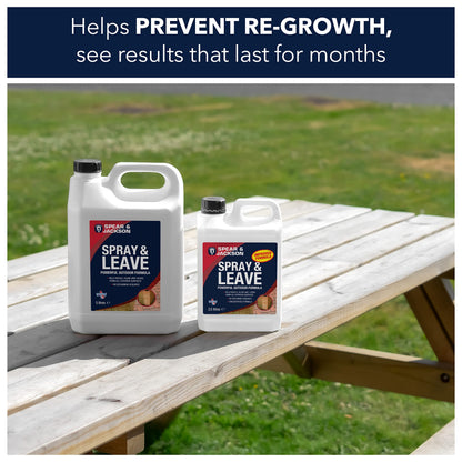 Spear and Jackson - Spray and Leave Concentrate 2 x 5 Litres - Kills Mould, Algae & Lichen From All Exterior Surfaces