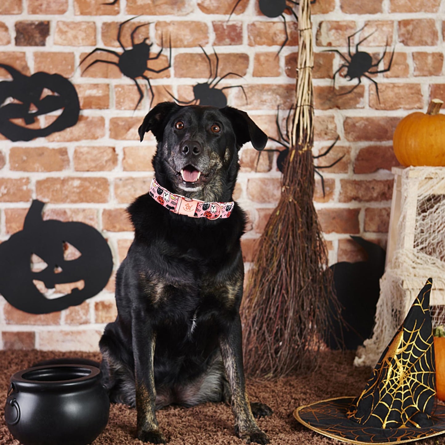 Elegant little tail Halloween Dog Collar, Autumn Pet Collar Durable Pink Dog Collars Male or Female Holiday Pet Gift Adjustable Dog Collar for Medium Dogs