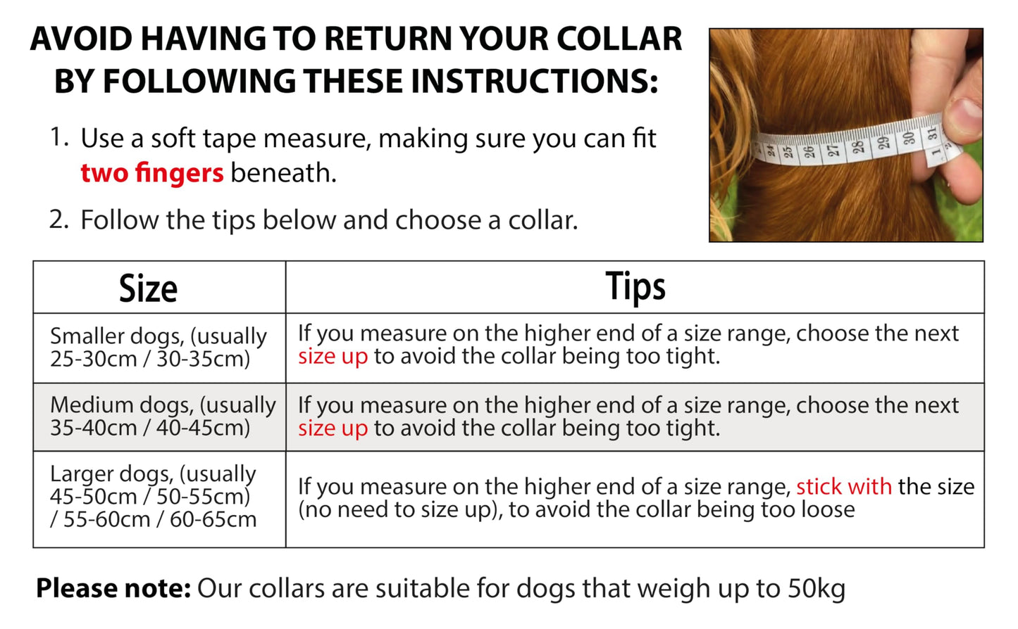 Elite Paws™ UK: Premium Metal Buckle Dog Collar, Strong, Safe, Padded, Comfortable, Reflective, Adjustable, Secure Fit with Metal Lead Attachment, Puppy Walking/Training Product (30cm-35cm, Blue/Grey)