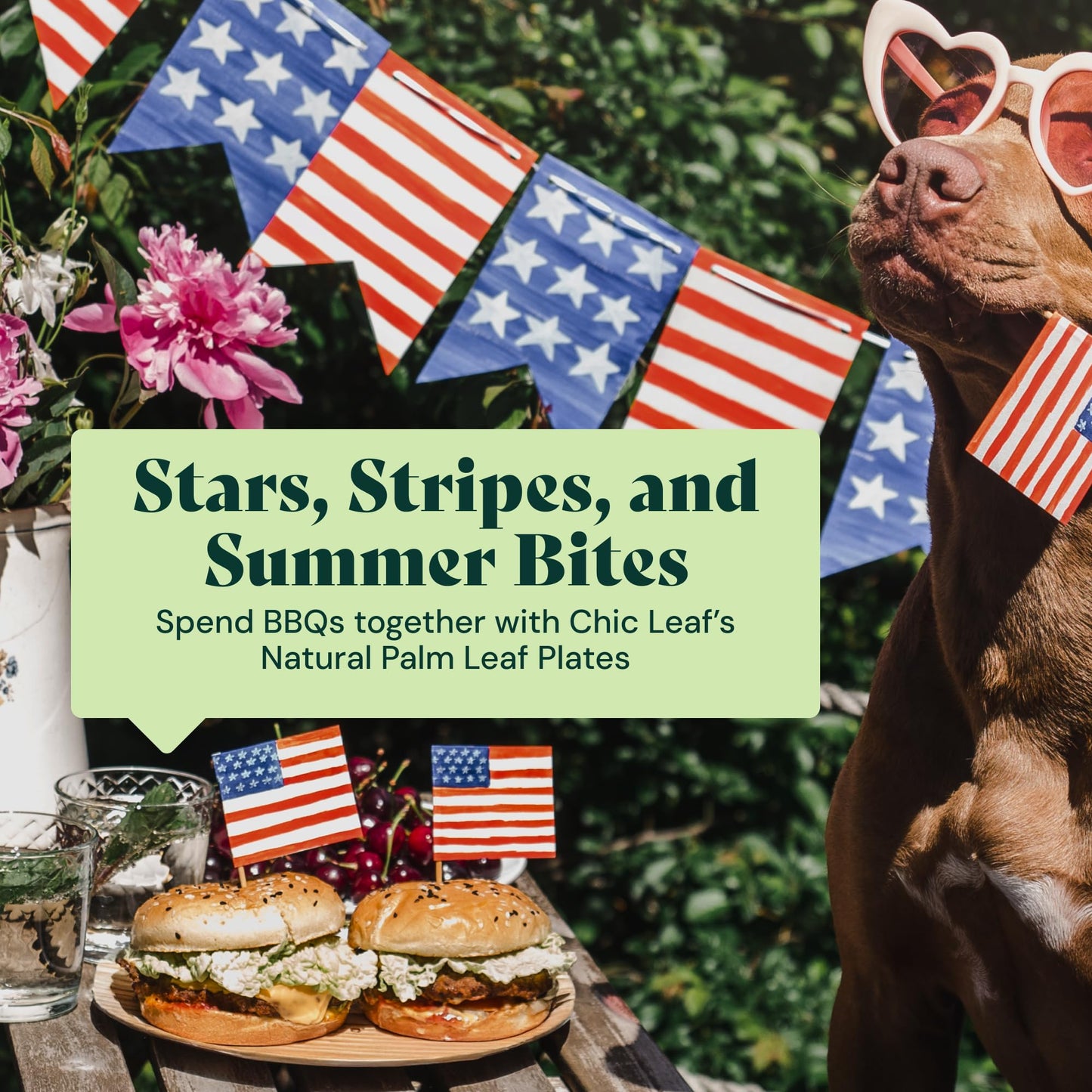 Chic Leaf Compostable & Biodegradable Palm Leaf Disposable Bamboo Plates for 4th of July- Disposable Party Plates for Appetizers - Camping Essentials - Reusable Party Supplies (10 & 7 Inch Square)