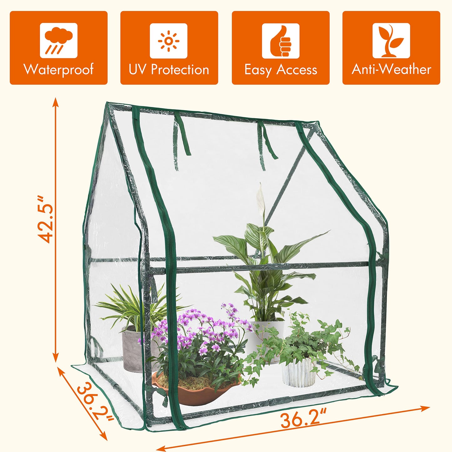 Gardzen Mini Greenhouse Heavy Duty Portable Green House, Clear Tent Small Greenhouse for Indoor Outdoor Plants 36.2”(L) x36.2”(W) x42.5”(H)